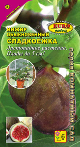 Инжир Сладкоежка обыкновенный  купить