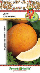 Дыня Капуччино  (Вкуснятина) купить