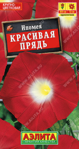 Ипомея Красивая прядь  купить