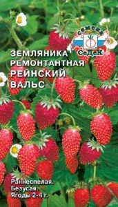 Земляника Рейнский Вальс  купить