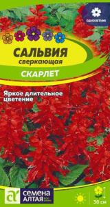 Сальвия Скарлетт сверкающая  купить