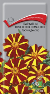 Бархатцы Джолли Джестер откл. немахр. купить