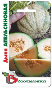 Дыня Апельсиновая  купить