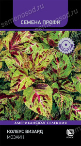Колеус Визард Мозаик купить
