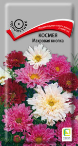 Космея Махровая кнопка купить