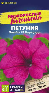 Петуния Лимбо F1 Бургунди генетически карликовая купить