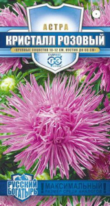 Астра Кристалл розовый игольчатая купить
