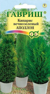 Кипарис вечнозеленый Апполон  купить