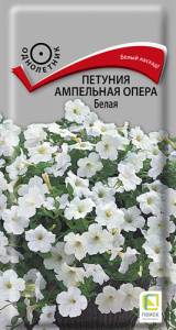 Петуния Опера F1 Белая ампельная  купить