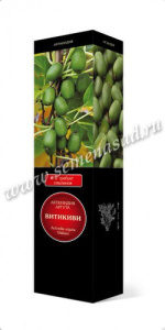 Актинидия аргута Вити Киви (самопл.) купить