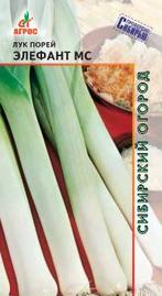Лук (порей) Элефант МС  купить