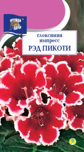 Глоксиния Импресс Рэд Пикоти  купить