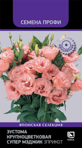 Эустома Супер Мэджик Эприкот крупноцв. купить