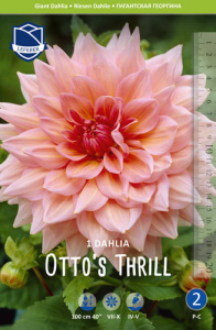 Георгина гигантская Otto's Thrill /1шт купить