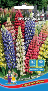 Люпин Яркий Факел (УД)  купить