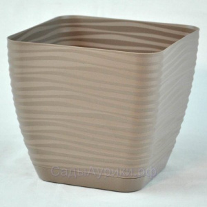 Кашпо Сахара петит 2л квадрат жемчуг-кор 3620-051 купить