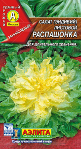 Салат Распашонка листовой (эндивий) купить