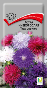 Астра Тиеса стар микс низкорослая купить