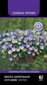 Виола Кул Вейв F1 Морфо ампельная купить