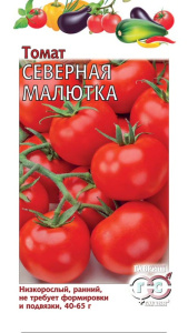 Томат Северная малютка купить