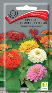 Цинния Пепито дварф микс георгиноцветковая  купить