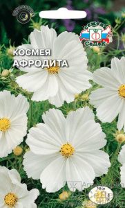Космея Афродита купить