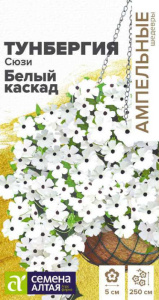 Тунбергия Сюзи Белый каскад крылатая  Ампельные Шедевры купить