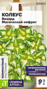 Колеус Визард Магический Нефрит  купить