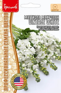 Маттиола Vintage White F1 махровая купить