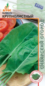 Щавель Крупнолистный купить