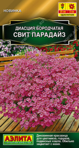 Диасция Свит парадайз Золотая серия купить