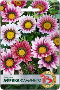 Газания Африка Фламинго купить