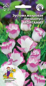 Эустома Морганит махровая (лизантус) купить