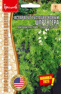 Аспарагус Шпренгера густоцветковый купить