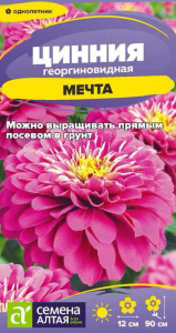Цинния Мечта  купить