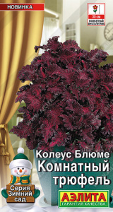 Колеус Комнатный трюфель купить