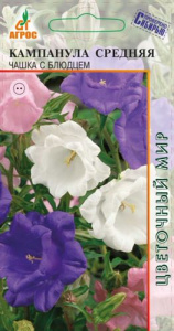 Кампанула Чашка с блюдцем  купить