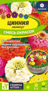 Цинния Лилипут смесь окрасок  купить