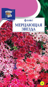 Флокс Мерцающая звезда  купить