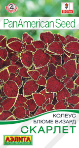 Колеус Скарлет блюме купить