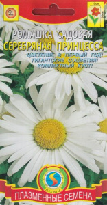 Ромашка садовая Серебряная принцесса  купить
