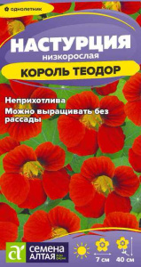 Настурция Король Теодор  купить