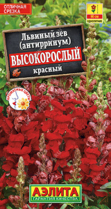 Львиный зев Высокорослый красный купить