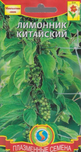 Лимонник китайский (многолетняя лиана)  купить