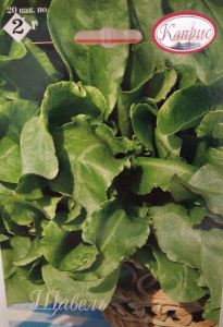 Щавель Бельвильский/1шт купить