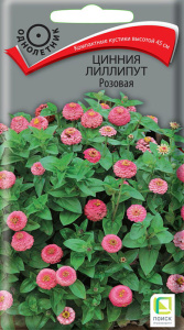Цинния Лиллипут Розовая  купить