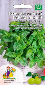 Базилик Карамельный зелёный купить