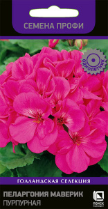 Пеларгония Маверик Розовая купить