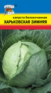 Капуста Харьковская Зимняя  купить