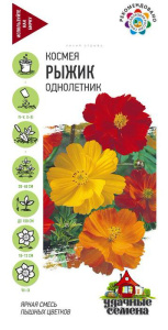 Космея Рыжик  купить